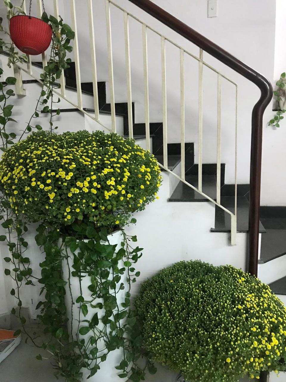 Vanapartment Bandar Ho Chi Minh Luaran gambar